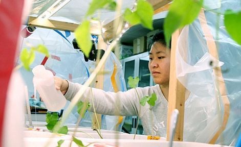 Student Molly Beaghan waters plants in the Mars experiment lab. Contributed/ Stout Communications
