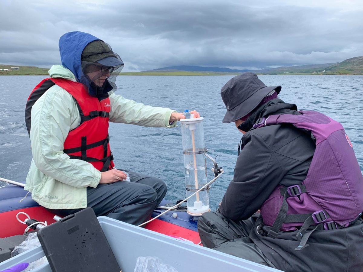 UW-Stout biology professor joins team of scientists to study glacial methane emissions in Iceland