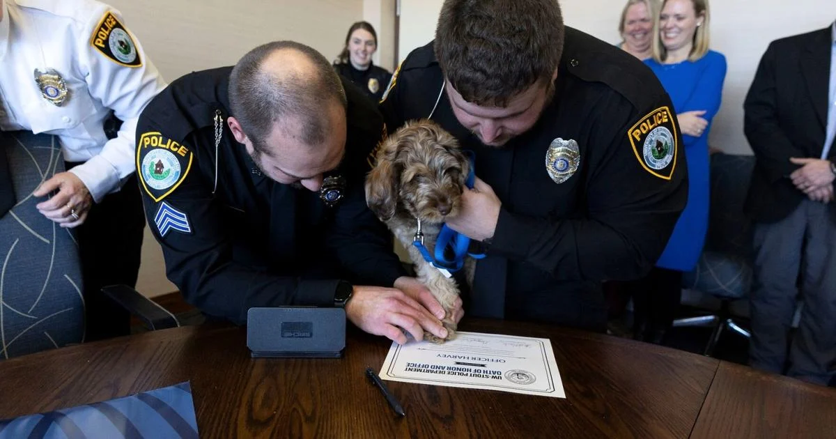 Harvey Introduced as Stout Police's Newest Member