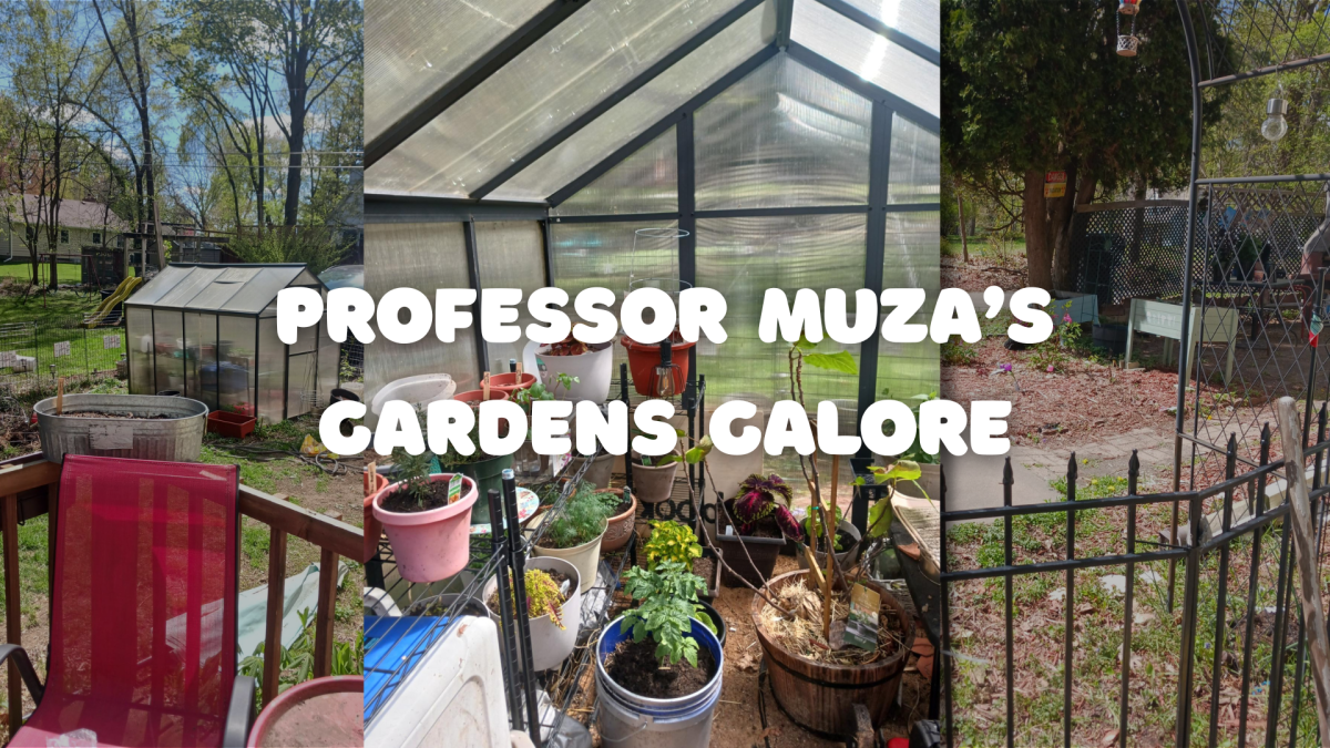 Professor Muza's Gardens Galore